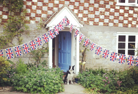 Dog Friendly Cottages